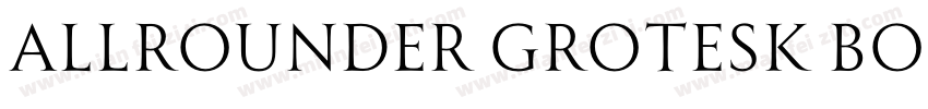 Allrounder Grotesk Book字体转换